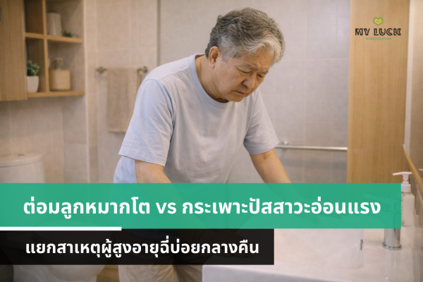 ต่อมลูกหมากโต vs กระเพาะปัสสาวะอ่อนแรง แยกสาเหตุผู้สูงอายุฉี่บ่อยกลางคืน