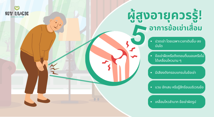 ปวดเข่า ฝืดตึง เดินลำบาก สัญญาณข้อเข่าเสื่อม! อย่าปล่อยไว้นาน รีบดูแลก่อนสาย อ่านต่อเลย!