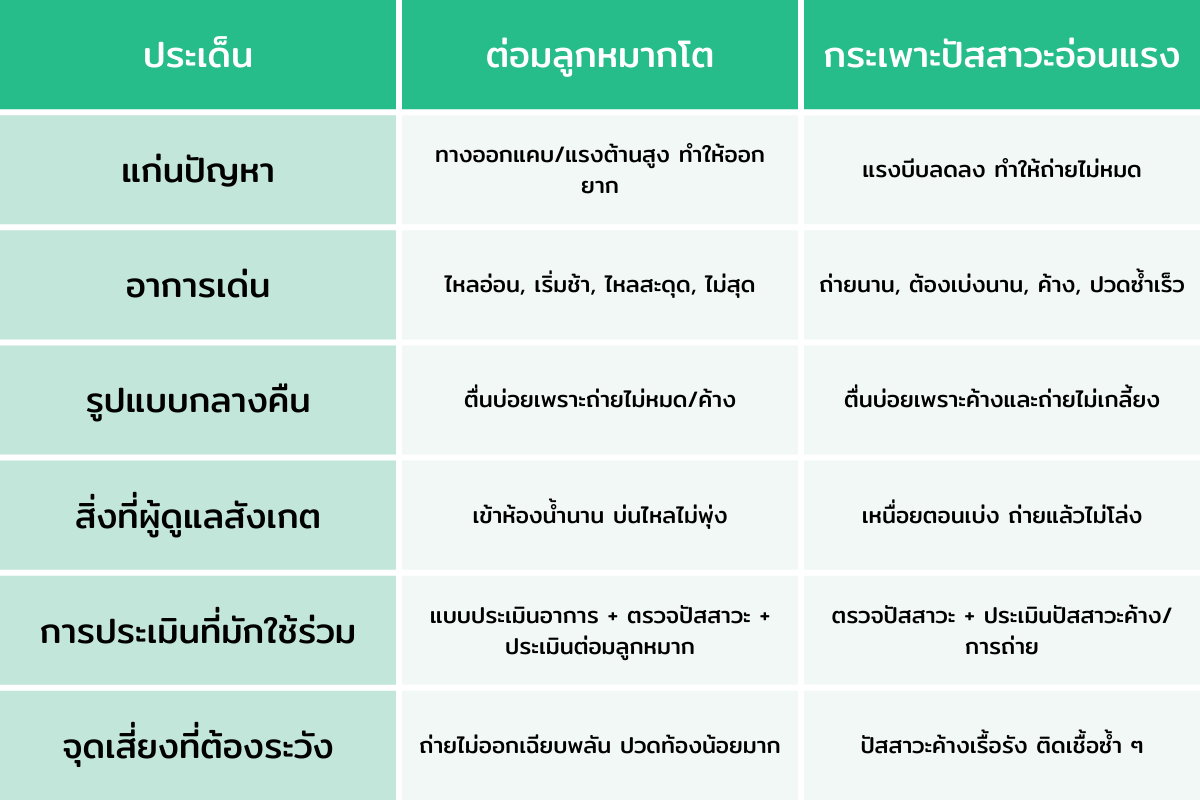 ต่อมลูกหมากโต vs กระเพาะปัสสาวะอ่อนแรง แยกสาเหตุผู้สูงอายุฉี่บ่อยกลางคืน